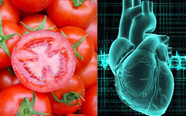 Ortadan kesilmi domates drt kompartmanl grlr.