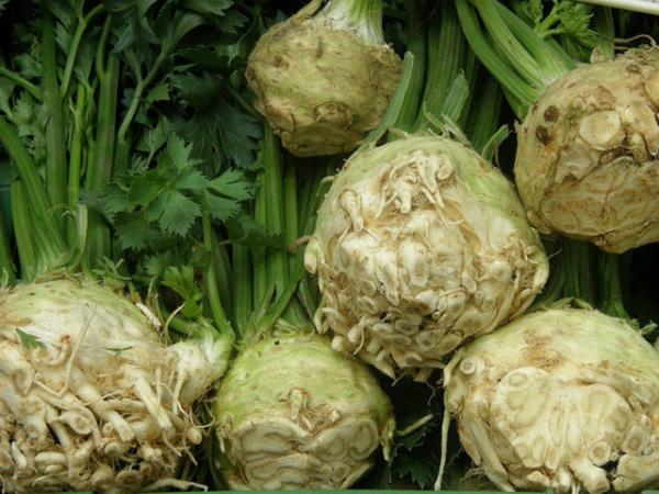 Bu gdalar iskeletinize faydaldr.