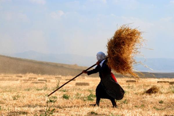 <b>Erol Takan orum Hakimiyet Corum</b>