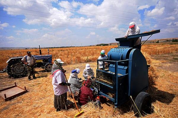 <b>Mrsel etin AA Eskisehir</b>