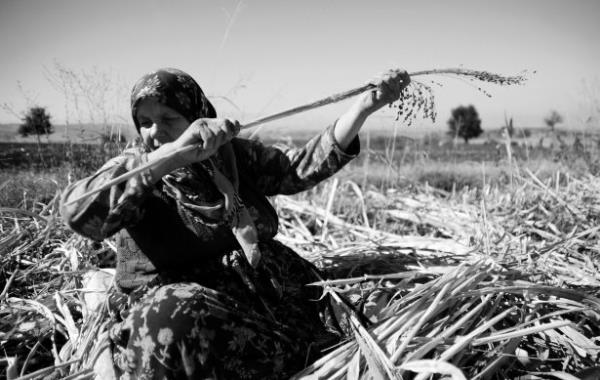 <b>Emre Koak / DHA Bursa</b>