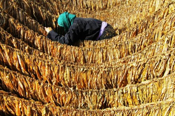 <p><b>Ceyda Candan Yn Yaynclk stanbul</b></p>    GBRETA,"Tarmda Kadn" temasyla bu yl ikincisini dzenledii Bu Topran Renkleri Basn Fotoraf Yarmas'nda derece giren eserlerden oluan ilk sergiyi Sabiha Gken Havaliman'nda sanatseverlerin ilgisine sundu. Sergi, 31 Temmuz 2014 tarihine kadar gezilebilecek.