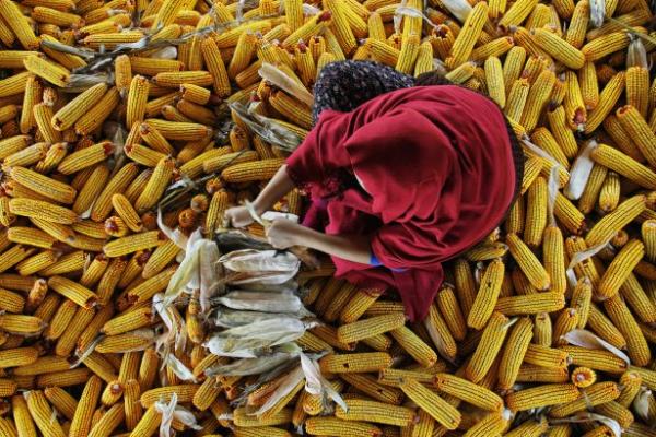 <p><b>Juri zel dl Zeynep Seda akr Yn Yayincilik Istanbul </b></p>     Kimi zaman bereketin timsali oluyor kadn, kimi zaman hasadn glgesinde bebeini emziren bir ana...