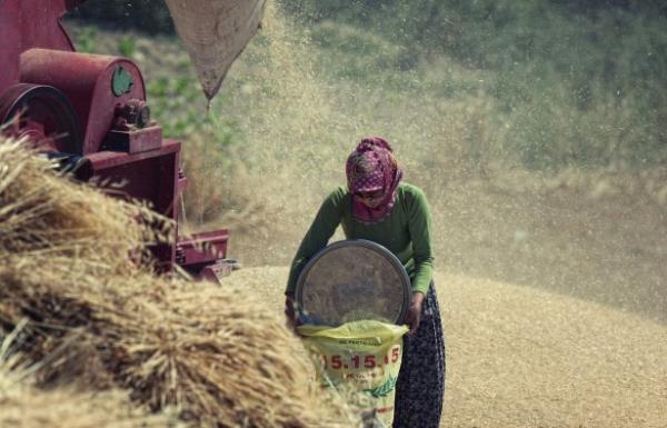 <p><b>Mansiyon Ozan Gzelce Milliyet Istanbul </b></p>    Gbreta'n dzenledii Basn Fotoraf Yarmas'na katlan usta fotoraflar bu renkleri en arpc karelerle yanstyor.