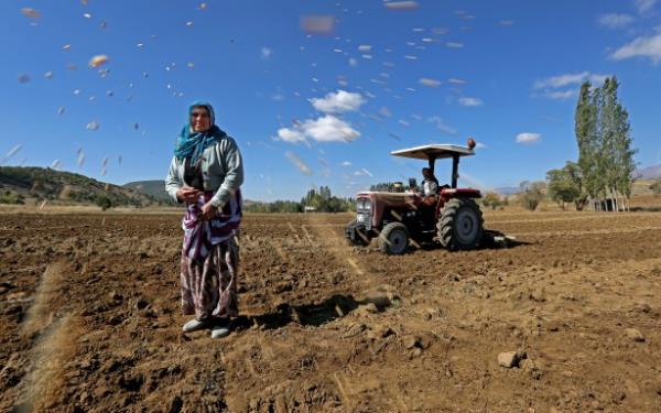 <p><b>Mansiyon Hseyin zgn TRT Gmhane</b></p>    Bu topran renklerini kadnlar belirliyor.
