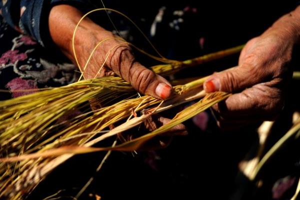 <b>Emre Koak / DHA Bursa</b>