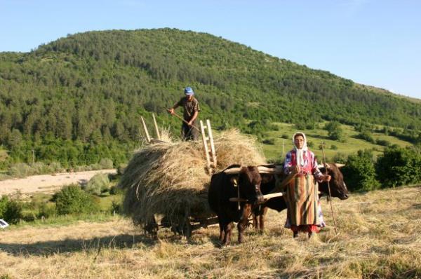 <b> zzet Sar Aksz Gazetesi Kastamonu</b>