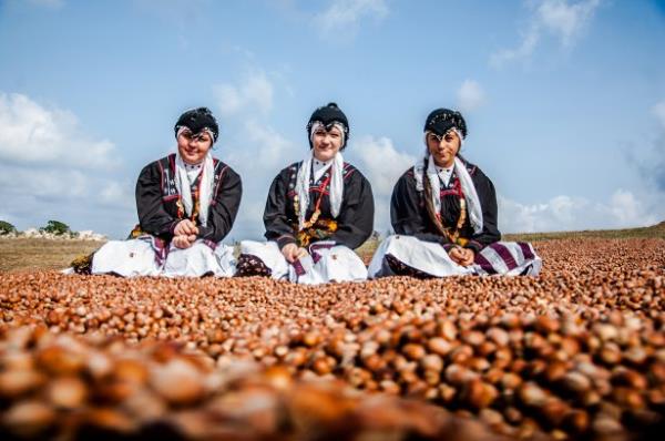 <b>lhan akr TRT Sakarya</b>