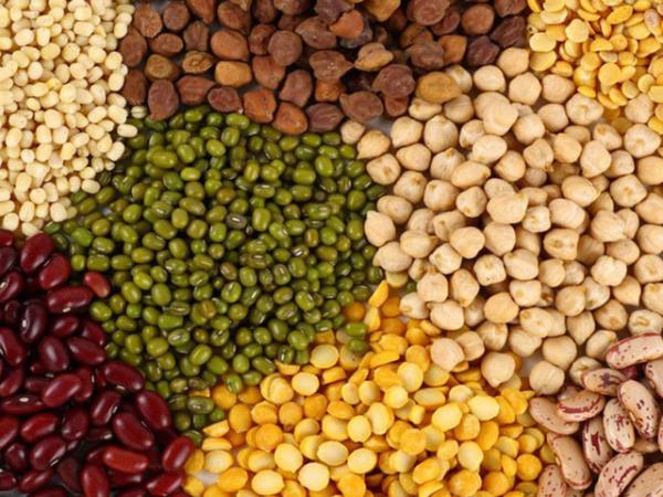 Protein ve lif ierii yksek olduundan yava sindirliyor ve uzun sre tok tutuyor.