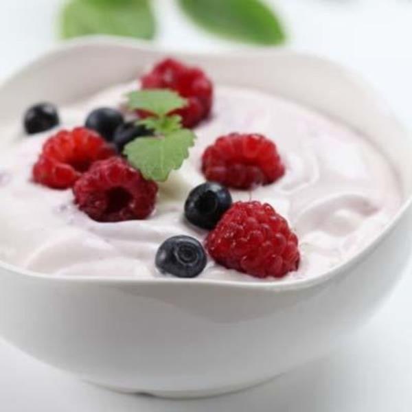 stelik ev yapm yani probiyotik ierii yksek olan yourdun sindirimi kolaylatrc, baklk sistemini glendirici zellii de bulunuyor.