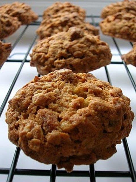 Zencefilli yulafl ev kurabiyesi + st