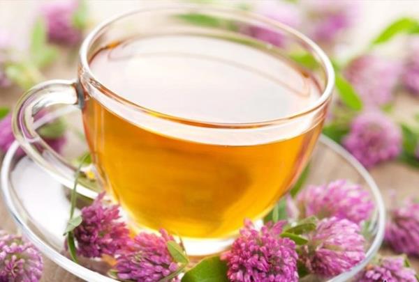 Sv ihtiyacn karlamak iin bata su olmak zere salata, sebze yemekleri, meyve, meyve kompostolar, orba, ayran, kefir, cack, st, soda ve mineralli sular ve bitki aylar tercih edilebilir.