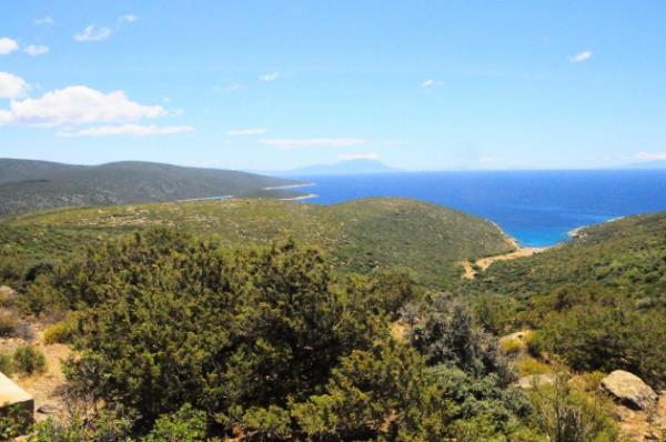 Gebe yaadklar iin birinci geim kayna olarak hayvanclk yapyorlard. Zeytincilik ve kkba hayvanclkla geimlerini salyorlard. Bademleri  hala ok lezzetli. Babakan Recep Tayyip Erdoan&#8217;n tatillerin geirdii koyun doas ok gzel. zellikle deniz&#8230; Denizi sakin, kuzey rzgarn direk kar taraftan alyor. st ksmlarnda bir sarn ve al var. Yolun ilk girii biraz bozuk olsa da asfaltl bir yolu var. &#8220;