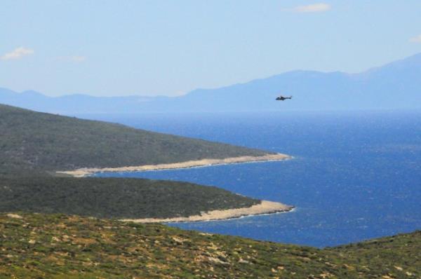 Zeytin aalar ve bir tarihi zeytinya ilii bulunan ky adn da zeytinden alyor. Yaklak 10 yl nce tarihi blgede aratrma yapmaya balayan  Ertan pliki, zmirli Ortopedi Uzman  Do. Dr. Levent Kstem ile yaynladklar Urla-Zeytineli Ky Zeytinya lii kitapnda tarihi blgeyi tm detaylar ile aktaryor.