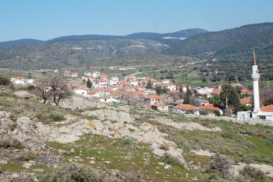 Yoldan hibir ekilde grlmeyen ve iki taraf da dala evrili zel koyda denize giren, dinlenen Babakan Erdoan&#8217;n, tatili srasnda Zeytineli kyndeki vatandalarla  sohbet ettii, ormana giren keiler yznden ceza yazlan kyllerin ikayeti zerine Orman Bakanl'n arayarak konuyla ilgilenmelerini istedii renilmi ve o dnem yansyan haberlerde  Babakan Erdoan'n cezaevinden ktktan sonra da hemen  ayn koya gelerek dinlendii konuulmutu.