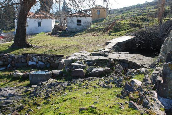 eme &#8211; zmir yolunun 6 kilometre gneyinde yer alan kye yerleim yaklak 400 yl nceye gidiyor.  Kyn imdi bulunduu yere Osmanl dneminde iki aile yerleir. Ve yerleik hayat Zeytineli&#8217;nde byle balar. Ancak daha nce de Bizans dneminde yerleim olduu ile ilgili bilgiler de var.