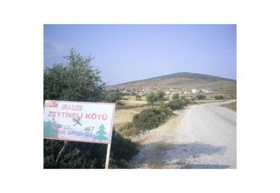 Babakan Recep Tayyip Erdoan&#8217;n ailesiyle birlikte Urla&#8217;ya bal Zeytineli Ky&#8217;ne yaklak 5 kilometre uzaklktaki Haclar Koyu&#8217;nda tatil yapt haberinin yaylmas zerine gzler ad hi duyulmam bu kye evrildi.