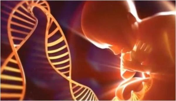 9- Bebek doar domaz DNA haritas karlabilecek