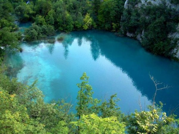 Yeni Zelanda Yeni Zelanda'daki Mavi Gl yani Blue Lake en temiz yzlecek sulardan biri olarak gsteriliyor.