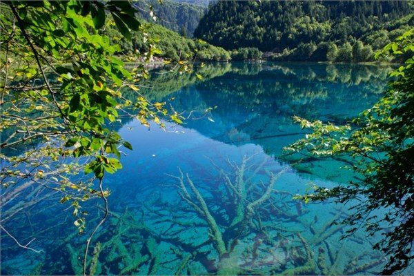 in Jiuzhaigou Vadisi, Sichuan