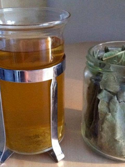 Yaprann kaynatlp iilmesi eker hastalna iyi gelir.