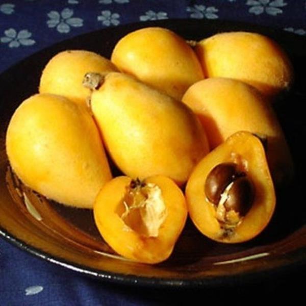 Mide hastalklarnda faydaldr.