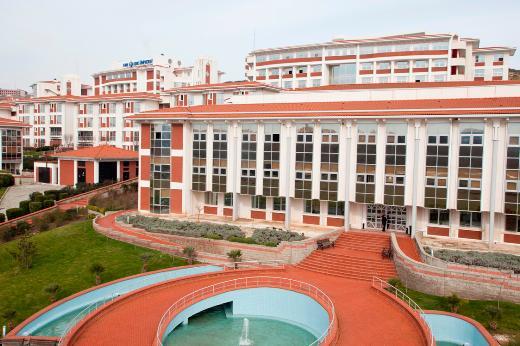 Ik niversitesi-Puan: 31