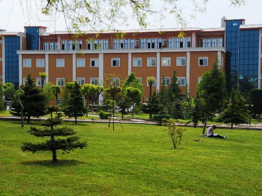 Sakarya niversitesi-Puan: 29