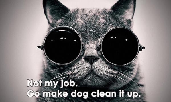 <P><B>1. "Bu benim iim deil ki ?!"</B></P>  <P>Mdrnz ii kimin yaptyla deil iin yaplp yaplmadyla ilgilenir. "Bu benim iim deil ki" diyip paay kurtaracanz sanyorsanz yanlyorsunuz.</P>  <P><B>Gizem Aydoan</B></P>  <P><B>Kaynak: Lifed.com</B></P>