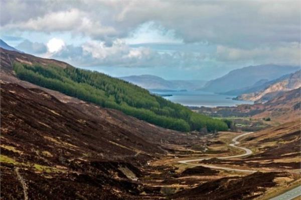 <br><b>skoya</b></br>  sko dalarnn eteklerinde enteresan bir gezi.