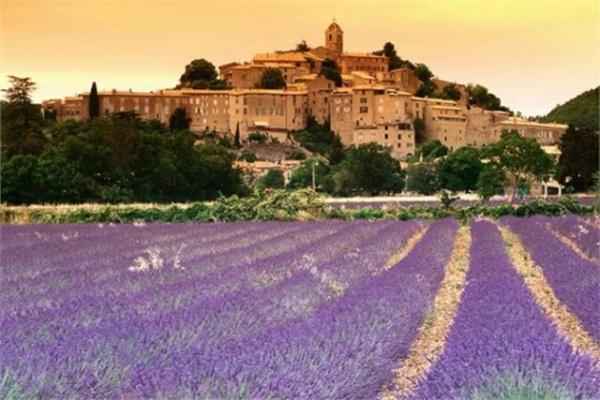 <br><b>Fransa</b></br>  Provence'nin ho kokulu lavanta bahelerini gezin.