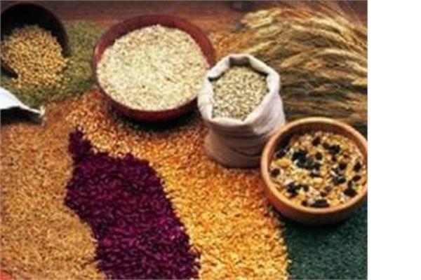 17. Erden Gda Sanayi Kurulu Yl: 1878