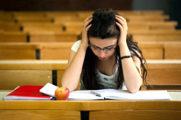 Tercih srecinde destekleyici fakat gereki bir tutum srdrn.