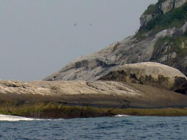 Ylanlarnn evi olan Ilha de Queimada Grande adas Brezilya'da 'Ylan Adas' olarak da anlyor.