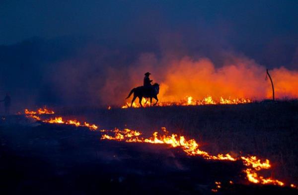 <br><b>24. Kovboy Josh Hoy alevlerin arasnda...</b></br>  Kovboy Josh Hoy, Flying W iftlii'nde anz yangnn kontrol etmeye alyor. Flint Hills, Kansas.    <br>(Linda Misenheimer/National Geographic Traveler Fotoraf Yarmas)</br>
