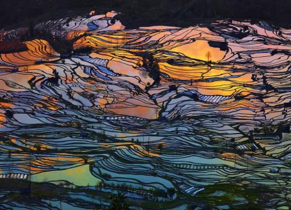 <br><b>17. Yuanyang, Yunnan, in</b></br>  Bu fotoraf gnn sonunda, harika yansmalar eliinde ektim.   <br> ( Thierry Bornier/National Geographic Traveller Fotoraf Yarmas)</br>