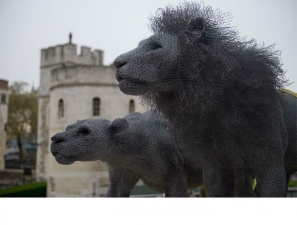 Aslanlar (Lions) - Londra, ngiltere