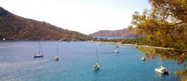 Mula Data - Kurucabk Koyu