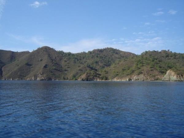 Mula Data - Balkaran Koyu