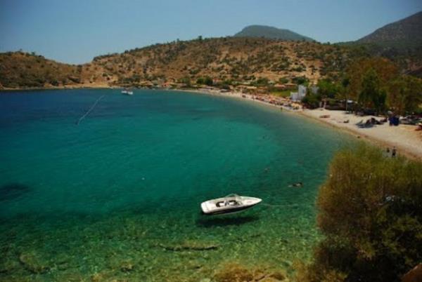 Mula Data - Karg  Koyu