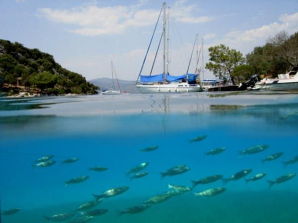 Mula Fethiye - Gbn Koyu