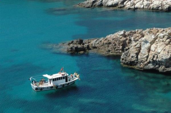 Mula Data - Akvaryum Koyu