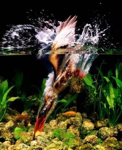 Bu fotoraflara inanmak g...