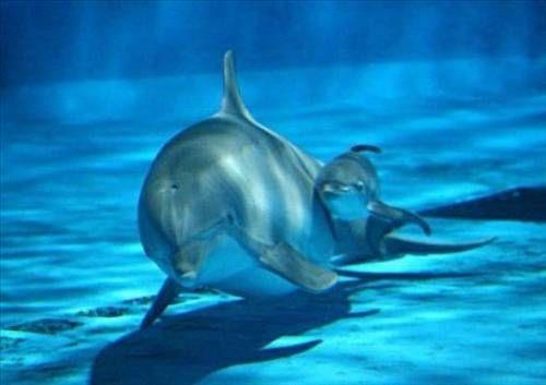 Bu fotoraflara inanmak g...