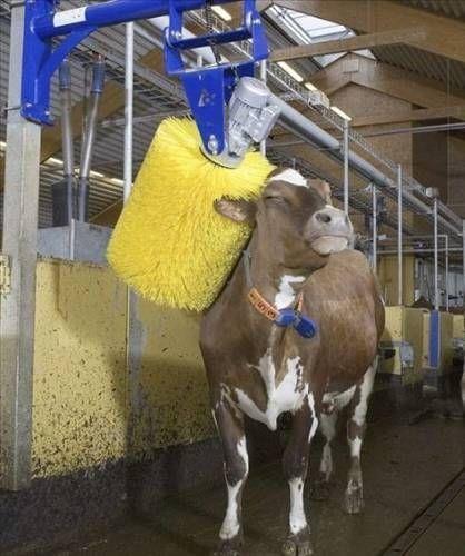 Bu fotoraflara inanmak g...