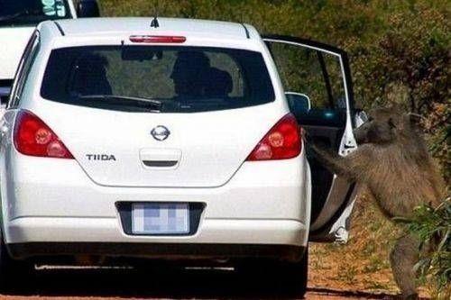 Bu fotoraflara inanmak g...