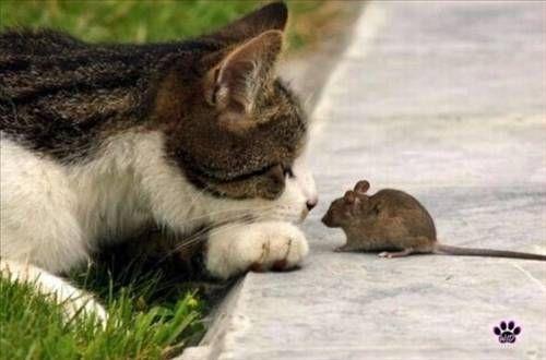 Bu fotoraflara inanmak g...