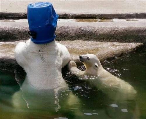 Bu fotoraflara inanmak g...