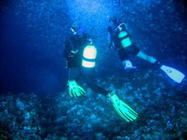 13- Saros Krfezinde dal