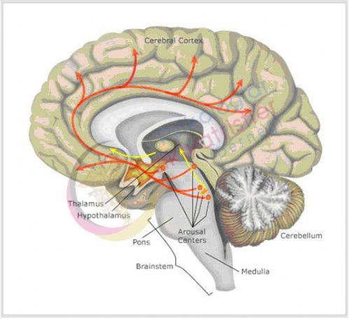 <p><b>Aniden balayan arya dikkat! </b></p>    Gerilim tipi ba ars ve migren ata ne kadar iddetli olursa olsun hayat tehdit etmiyor ve ar kesici ilalarla diniyor. Ancak zellikle tansiyon hastalarnn iftardan sonra aniden balayan ve gittike iddetlenen ba arlarn hafife almamalar uyarsnda bulunan Nroloji Uzman Dr. Haluk Canerolu, 'Tansiyon hastalar gn boyunca a kalp, iftarda ar yemek yerlerse, tansiyonlar hzla ykselip, beyin kanamalarna neden olabiliyor. Bu yzden tansiyon hastalar yemek sonrasnda hayatlarndaki en iddetli ba ars ile kar karya kalrlarsa ve bu ar ilala dinmezse, zaman kaybetmeden bir salk kuruluuna bavurmalar art' diyor.